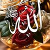 user2767306635387