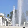 adam_5630
