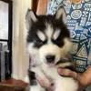 marie.chu96