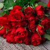 hodan.abshir44