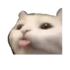 user4438839083099