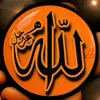 user8619300979683