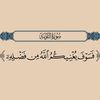 ahmedaboelsayed957