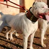 dogoatlas