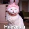 sujeto_de_sombrero_negro