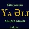 seyyid.313.1