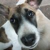 may_86685