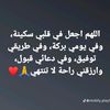 soltana.elsaid