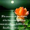 claire.de.lune752