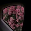 mm_ww5496