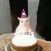 bcjfdhtj