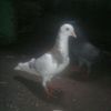 user5702157029818