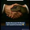 user6115142585635