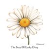 blackdaisy1508