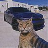 melikecars_editz