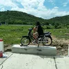 cuong.dang949