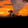 terbangnian2