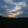 iaki.dejesus