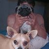 pugly435