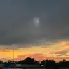 pmnz17
