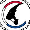 auditingcops3