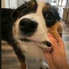 longlong_hahakj