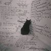 gato_inca