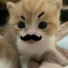 zumiiyaaww