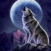 andrea.spera5