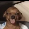 freen_becca206