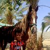 user3082250858710