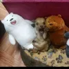 oh_nonono29