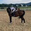 moonlight.eq