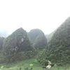 dattrang11012024