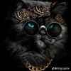 wanted_player1