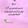 kaneezzehra62