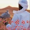 gulam.haseen2
