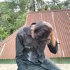 user4203461331678