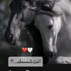 jm_h053