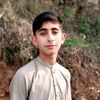 mudassirmalik8047