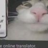 hotarushiu