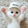 Cute Animals Danler