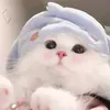 nh.nhi.ng.yu