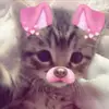 _chesangg_