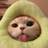mad_jela