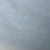 dilruba.sultana19