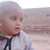 saveed.noor