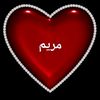 mai.nasr65