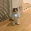 ironwannabeman