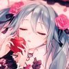 omg_mikuangel